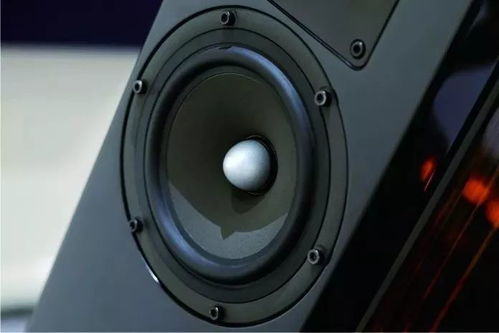 audes 瑰丽 excellence 3 amt落地式扬声器