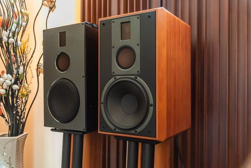 惠威亮相2019上海国际音响展 首次展示新品音箱ts300 h8