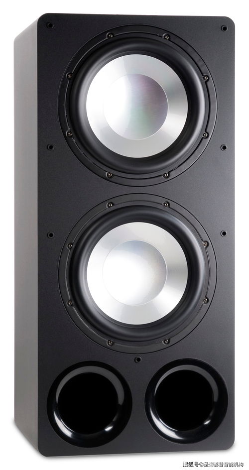 圣谛 美国rbh音响rbhs 1212双12寸超低音扬声器